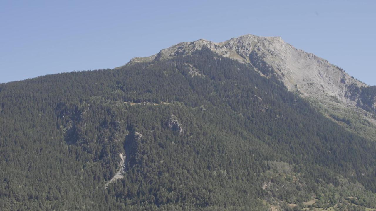 Chalet Violettes Villaroger エクステリア 写真