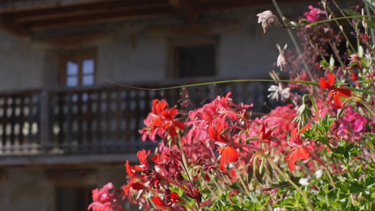 Chalet Violettes Villaroger エクステリア 写真