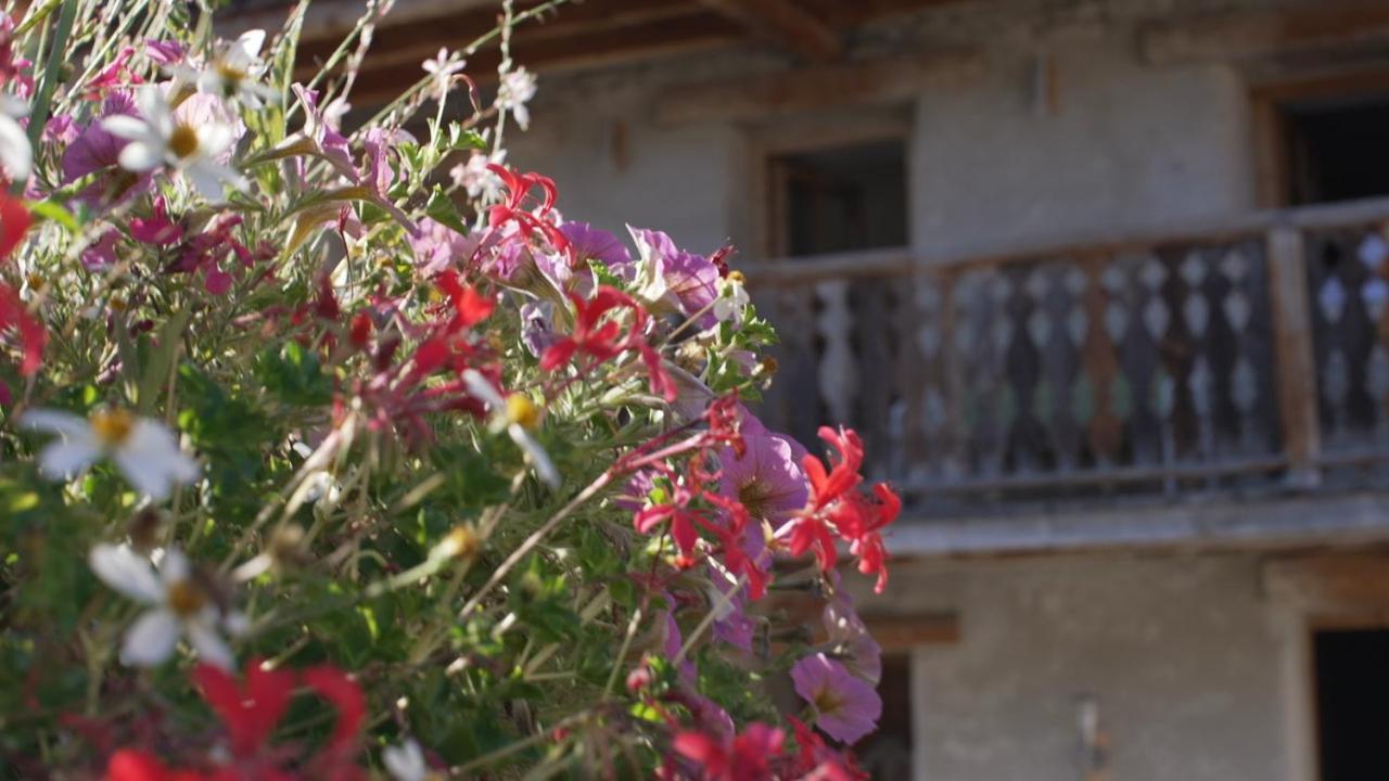 Chalet Violettes Villaroger エクステリア 写真